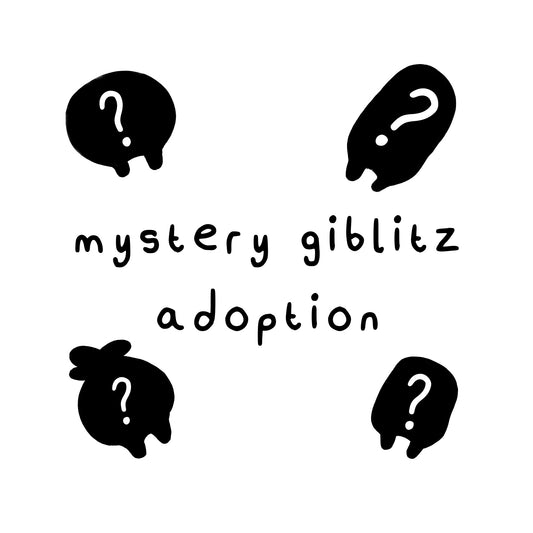 6. mystery giblitz adoption